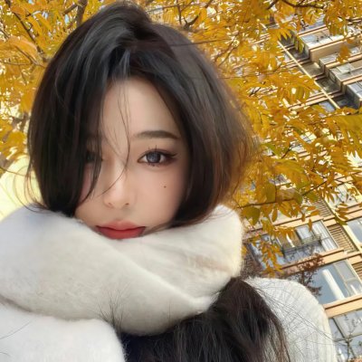 纸房子：全球热潮